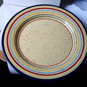 Pfaltzgraff Bold Stripes Dinnerware 12in SEDONA